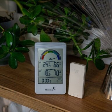 250202 Drėgmės matuoklis termometras